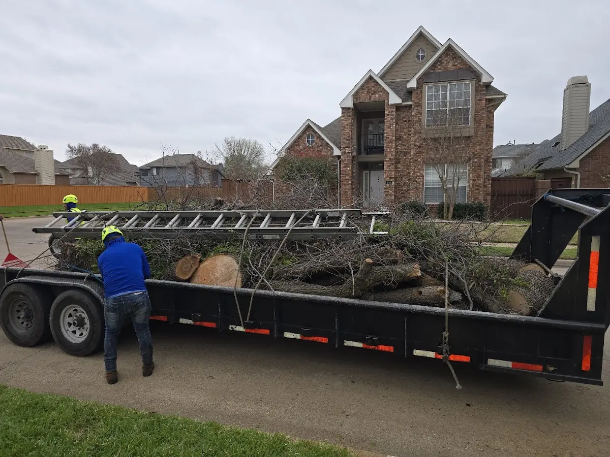 Expert Crown Reduction with proper safety equipment in Crab Orchard